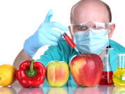 Alex Ansary Interviews Deborah Garcia about Genetically Modified Food (2007)