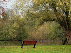 Alex’s Thoughts at the Park (2007)
