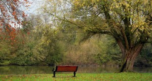 Alex’s Thoughts at the Park (2007)