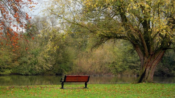 Alex’s Thoughts at the Park (2007)