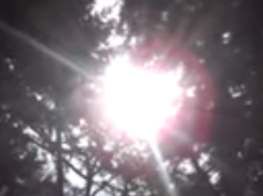 Thoughts on Solar Impact on Human Society and Consciousness