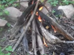 Wild Edible Hunt & Camping Fun in San Isabel National Forest