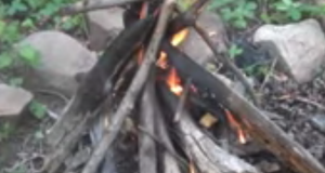 Wild Edible Hunt & Camping Fun in San Isabel National Forest