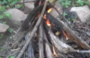 Wild Edible Hunt & Camping Fun in San Isabel National Forest