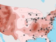 Nuclear Power Plants after an EMP