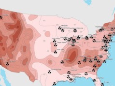 Nuclear Power Plants after an EMP