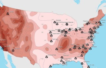 Nuclear Power Plants after an EMP
