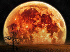 Evidence that the Moon Contributes to Earthquakes