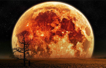 Evidence that the Moon Contributes to Earthquakes